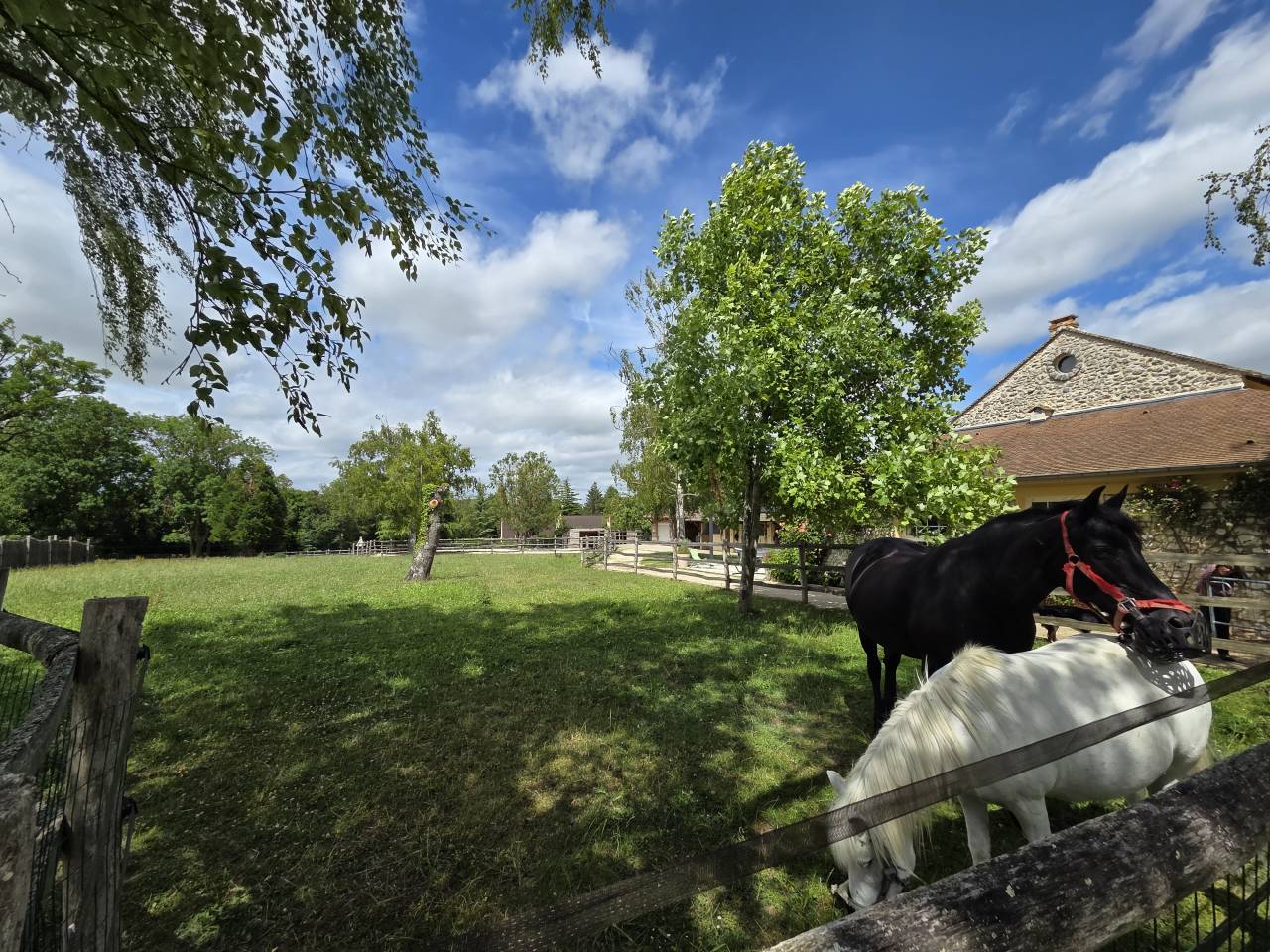 Luxurious equestrian property  Yvelines