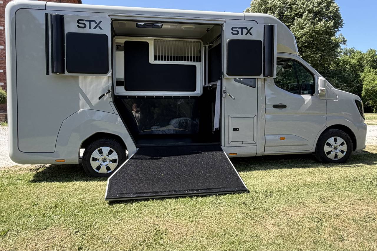 Horsebox HGV STX HARAS LONG 2025 Used