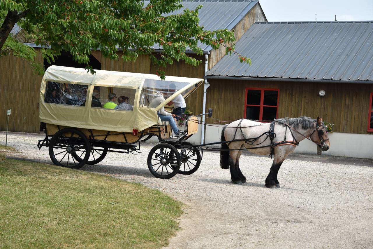 Carriage - Cal&egrave;che - Other brand -  