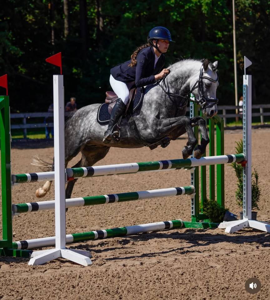 Talented & Competitive Sport Pony