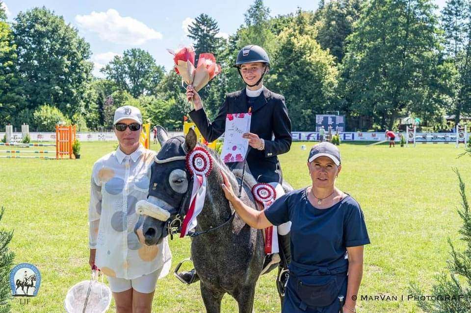 Talented & Competitive Sport Pony