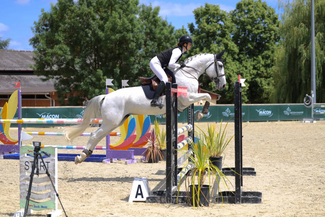 Mare Origin Recorded For sale 2015 Grey