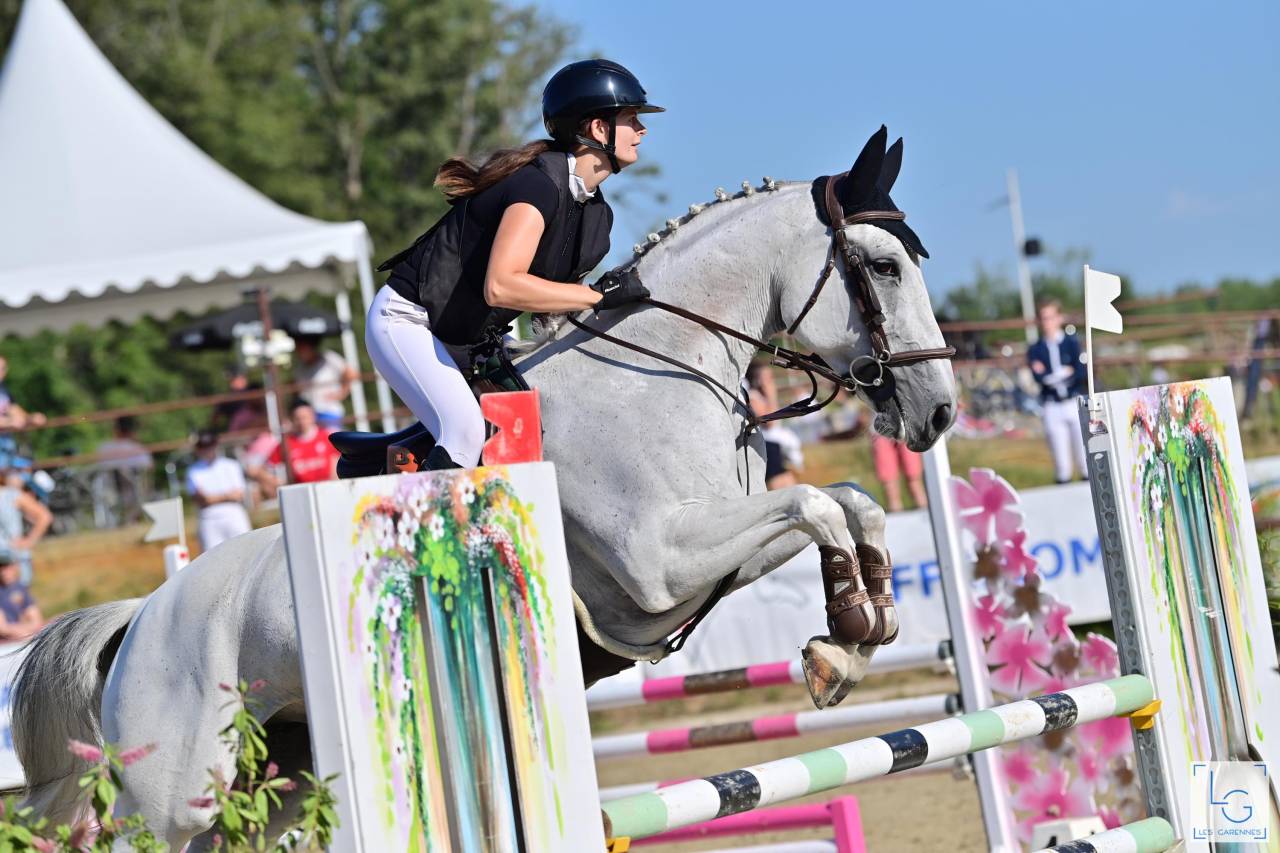 Mare Origin Recorded For sale 2015 Grey