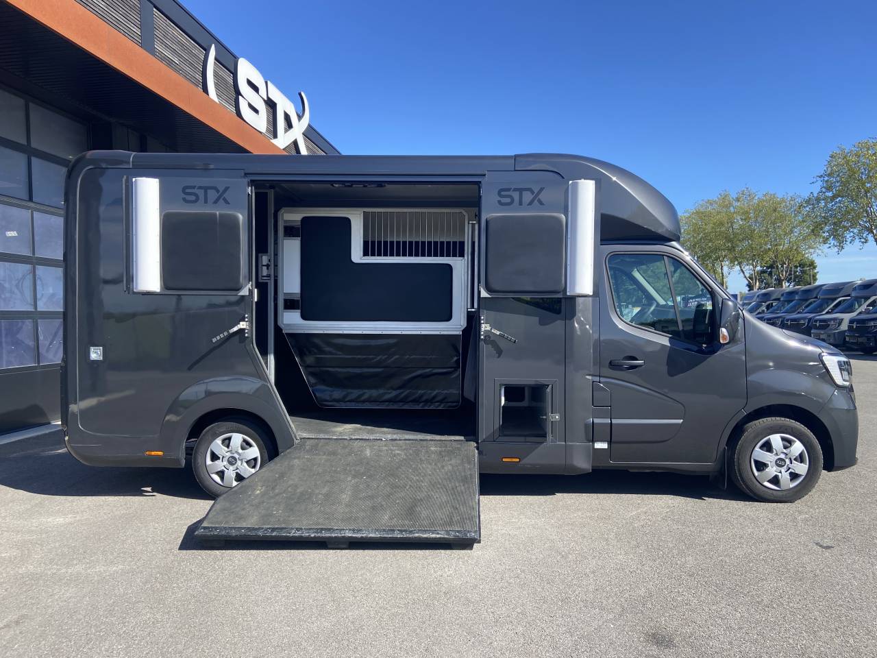 Horsebox HGV STX  2024 Used