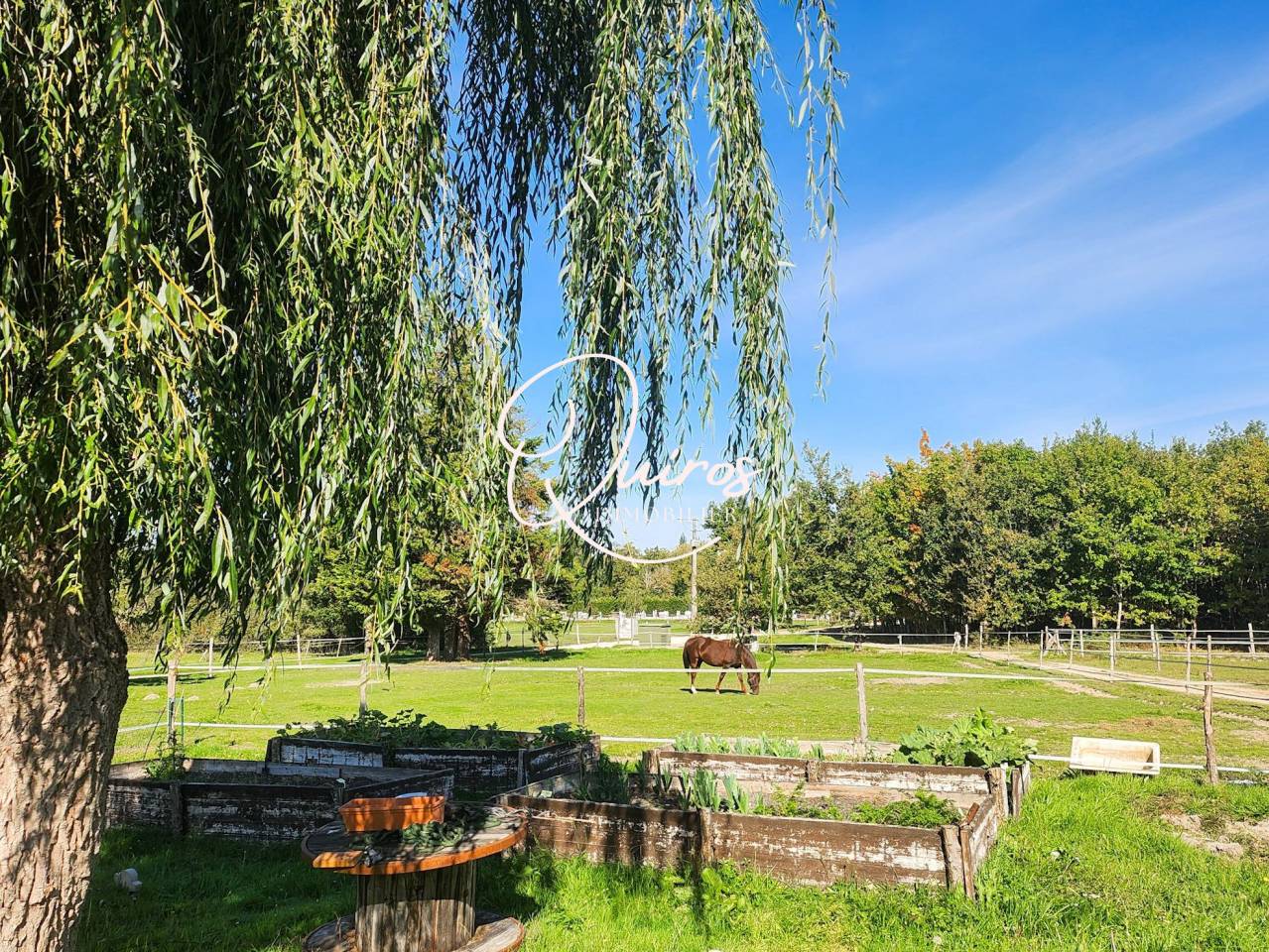 Equestrian property  Loir-et-Cher