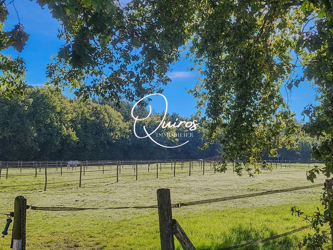 Equestrian property  Loir-et-Cher