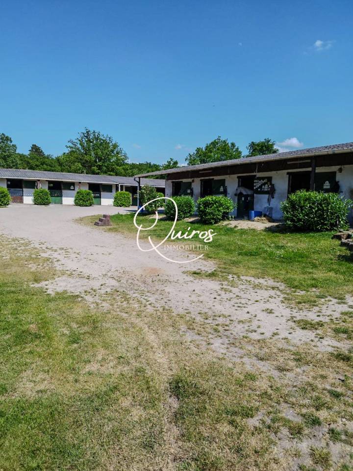Equestrian property  Loir-et-Cher
