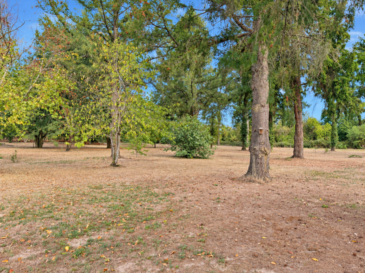 Equestrian property  Gironde