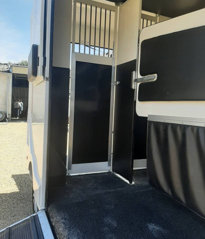 Horsebox HGV Renault Master 2022 Used