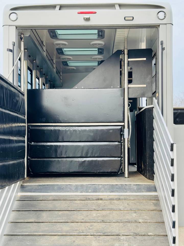 Horsebox NON-HGV Volvo CONCEPTPGO 2023 New