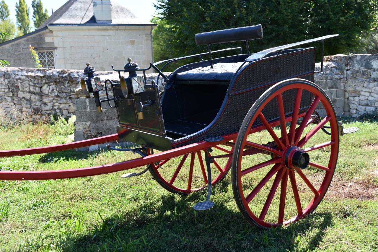 Carriage - Cal&egrave;che - Other brand - dog-cart &agrave; 2 roues, de style anglais 