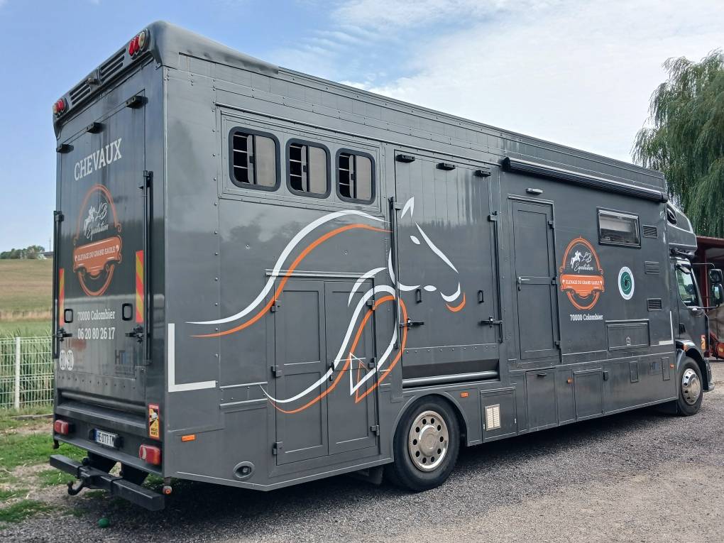 Horsebox NON-HGV Renault MILDIUM 280 DXI 2008 Used