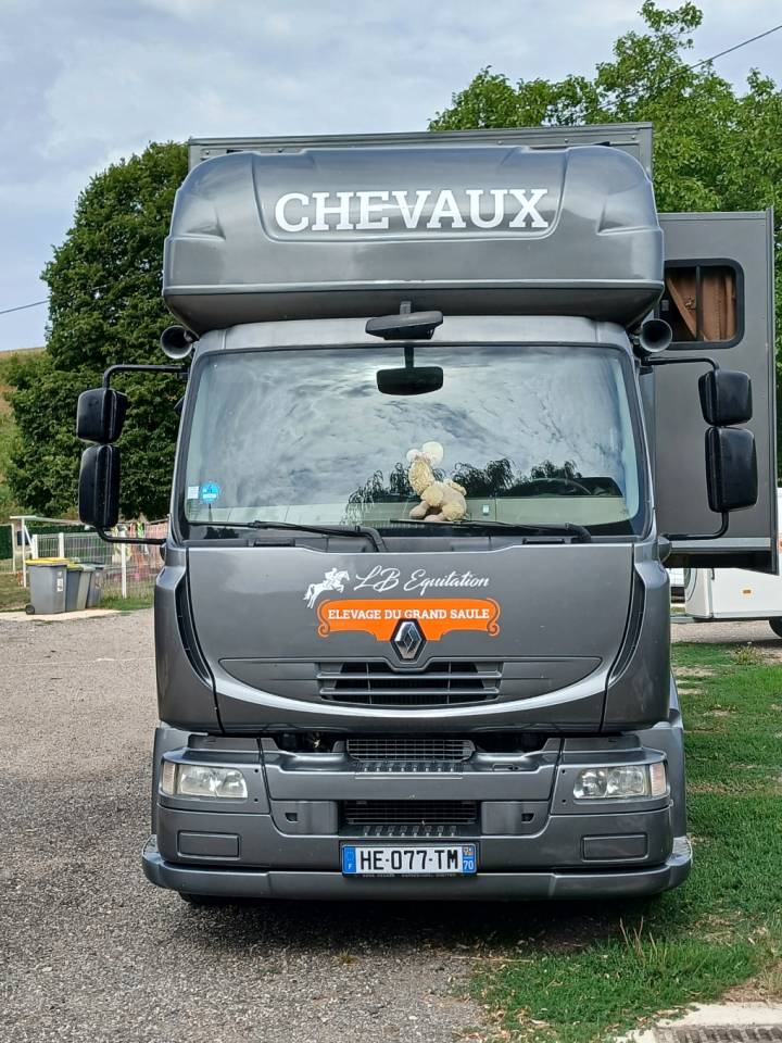 Horsebox NON-HGV Renault MILDIUM 280 DXI 2008 Used