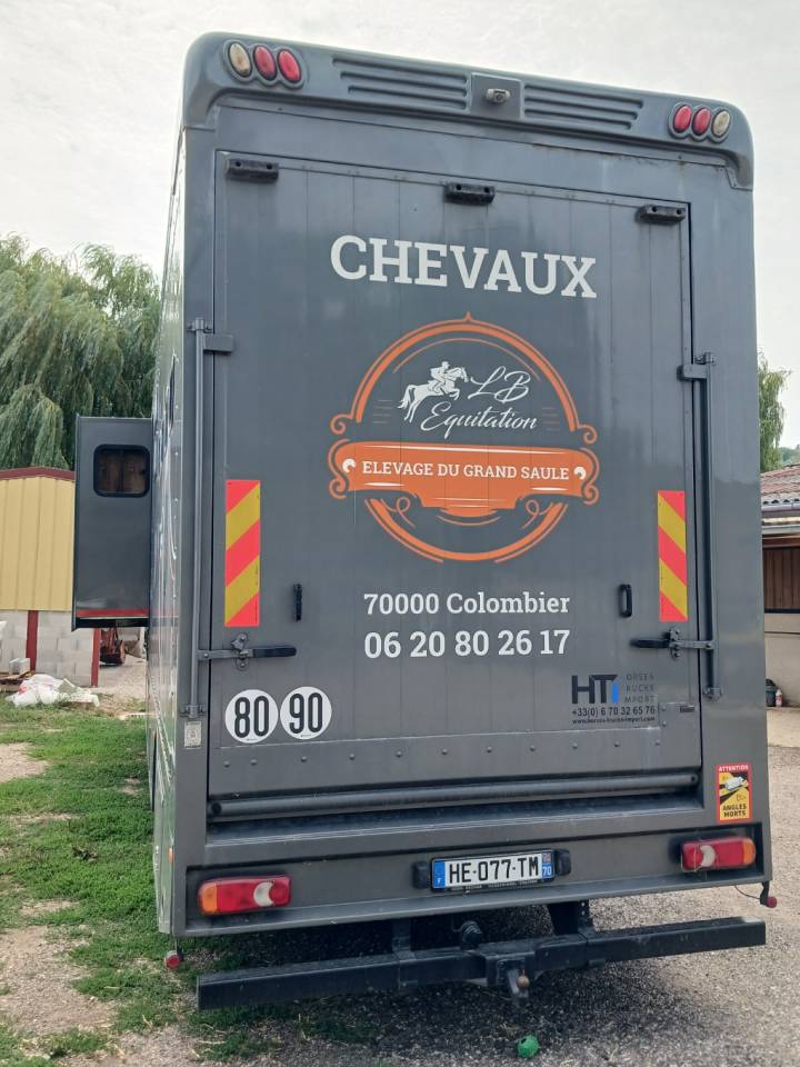 Horsebox NON-HGV Renault MILDIUM 280 DXI 2008 Used