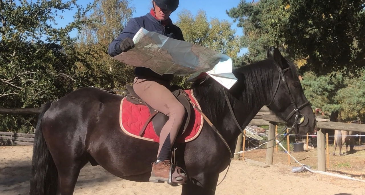 Gelding M&eacute;rens For sale 2023 Black
