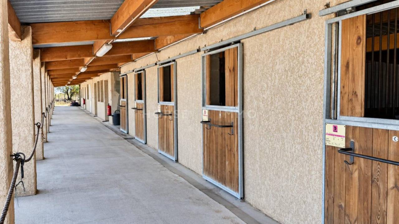 Equestrian property  H&eacute;rault