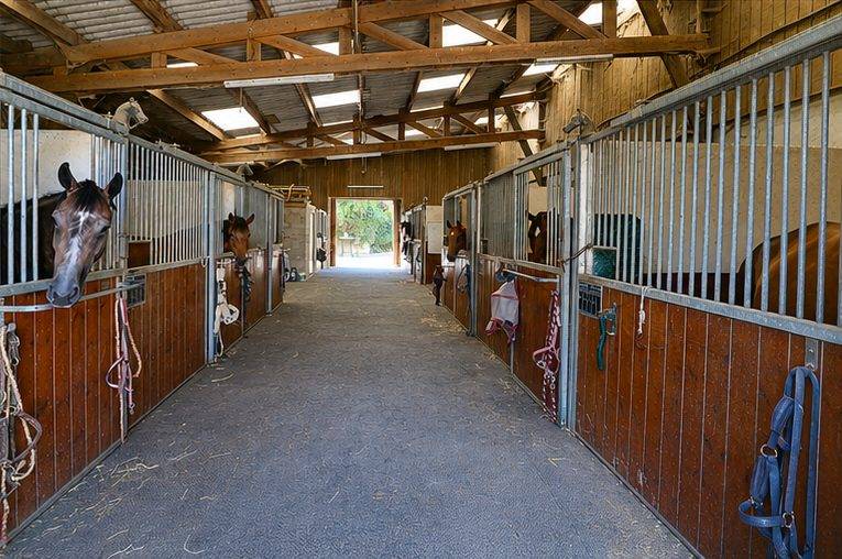 Equestrian Bed and Breakfast  Marne