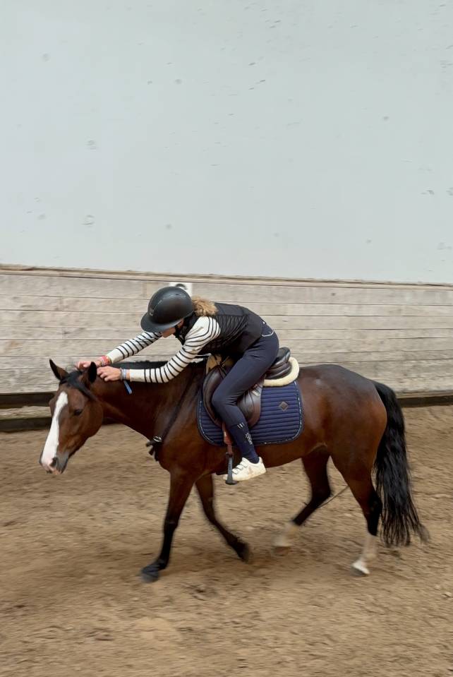 Mare French Saddle Pony For sale 2020 Bay