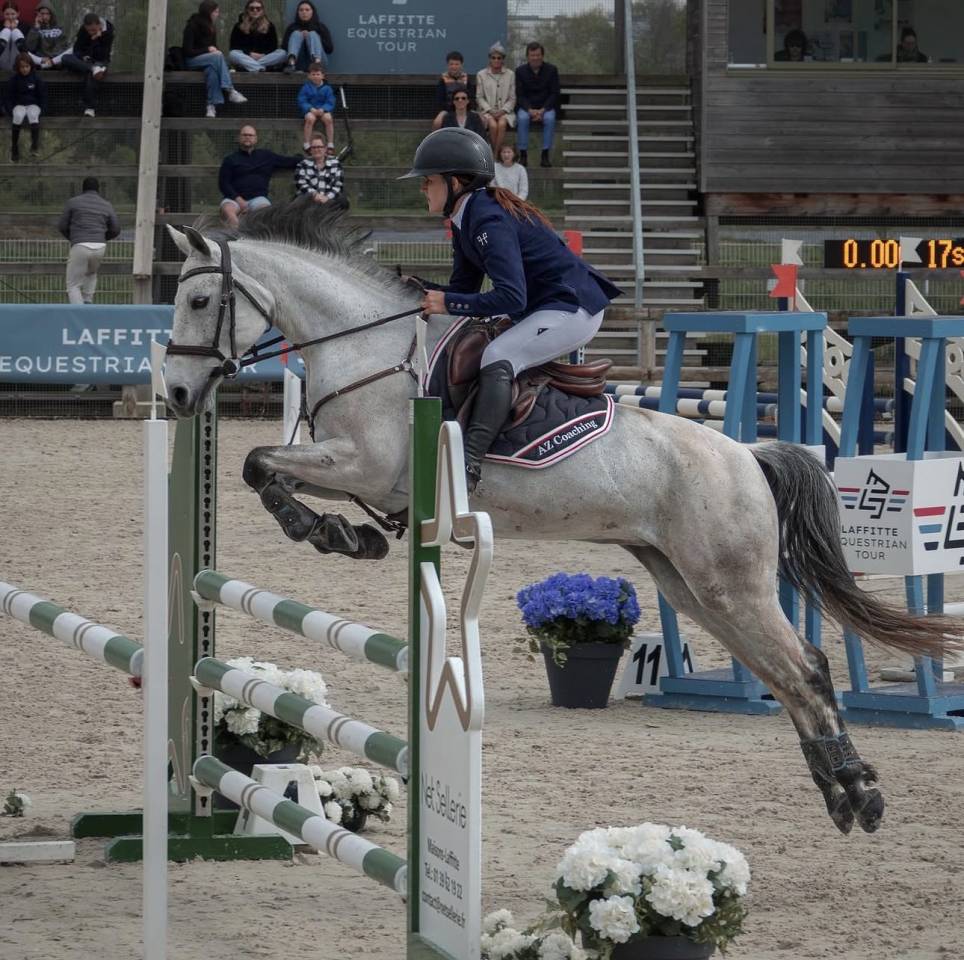 Mare Connemara For loan 2014 Grey