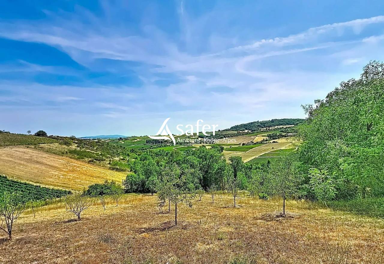 Other country property  Rh&ocirc;ne