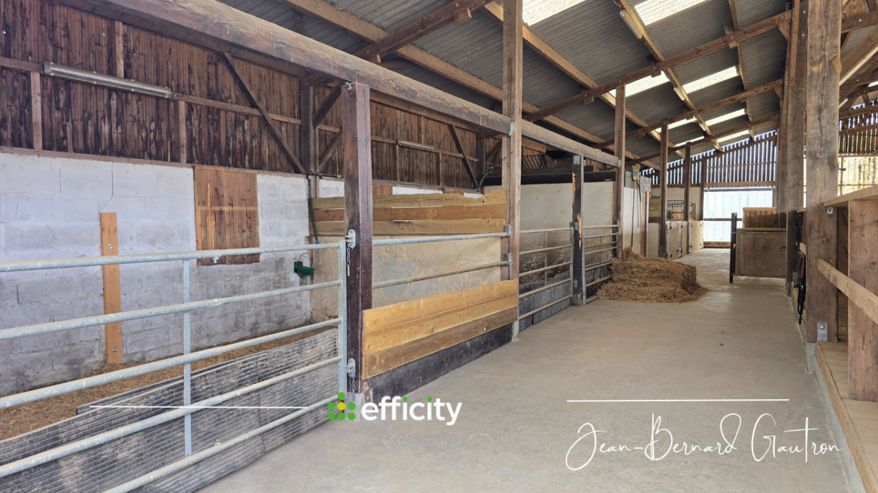Equestrian property  Ile-et-Vilaine