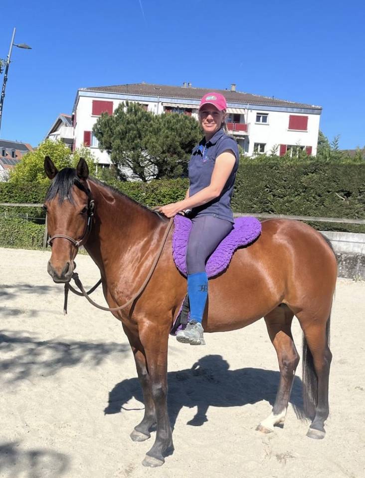 Mare Arabian Thoroughbred For sale 2019 Bay