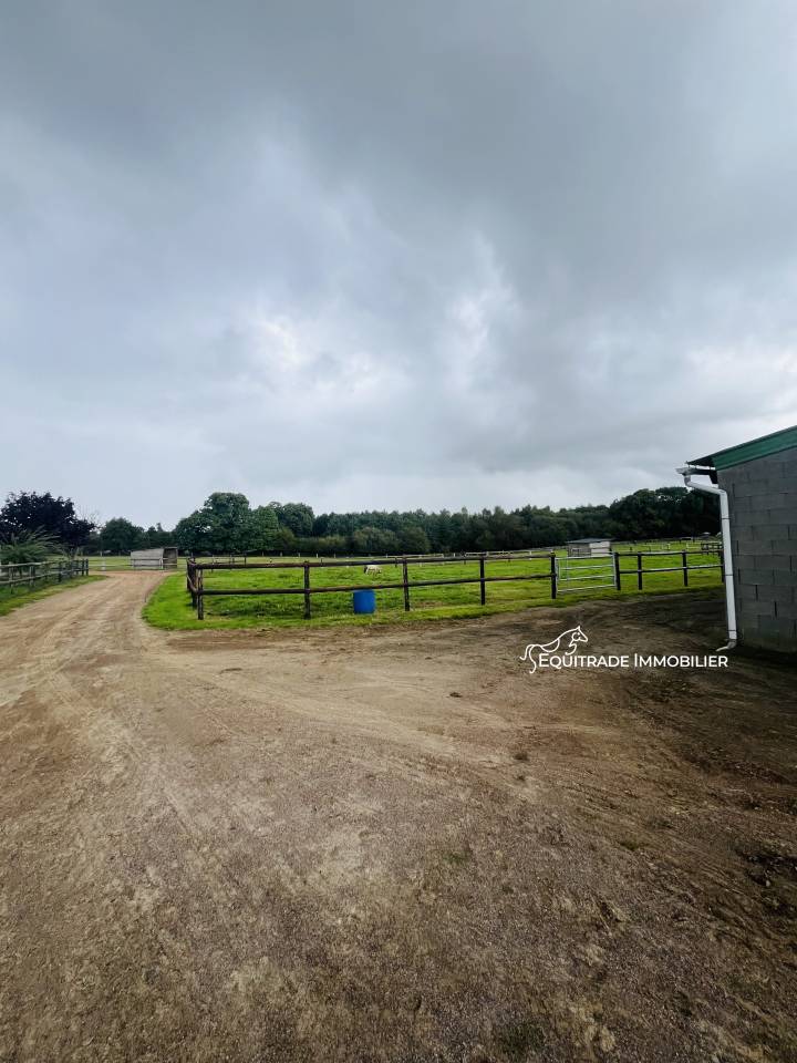 Equestrian property  Manche
