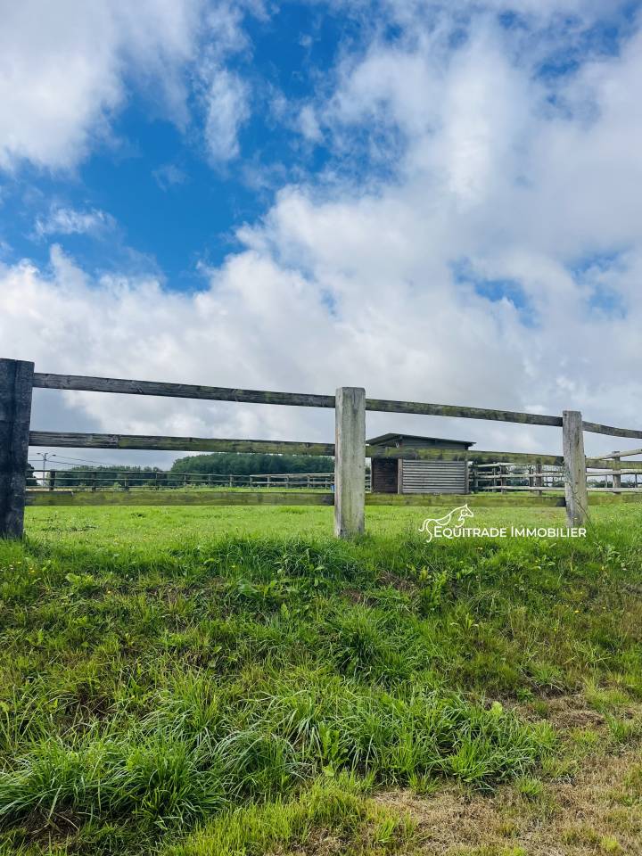 Equestrian property  Manche