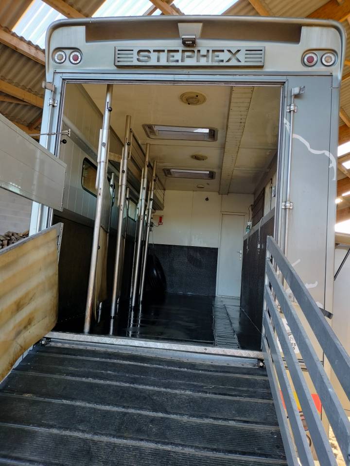 Horsebox NON-HGV Iveco STEPHEX 2006 Used
