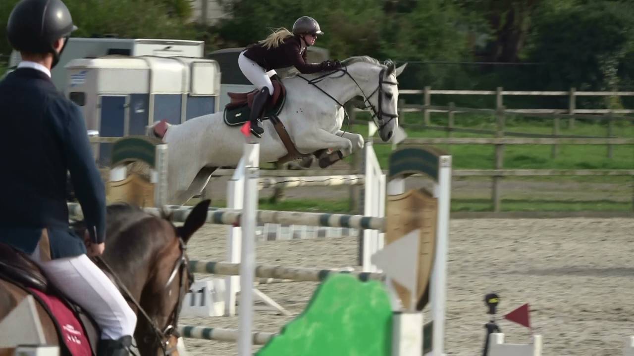 Mare Holsteiner For sale 2013 Grey