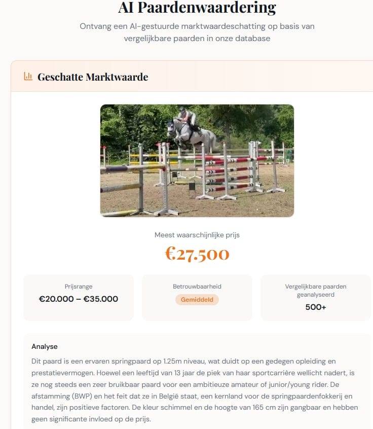 Mare Holsteiner For sale 2013 Grey