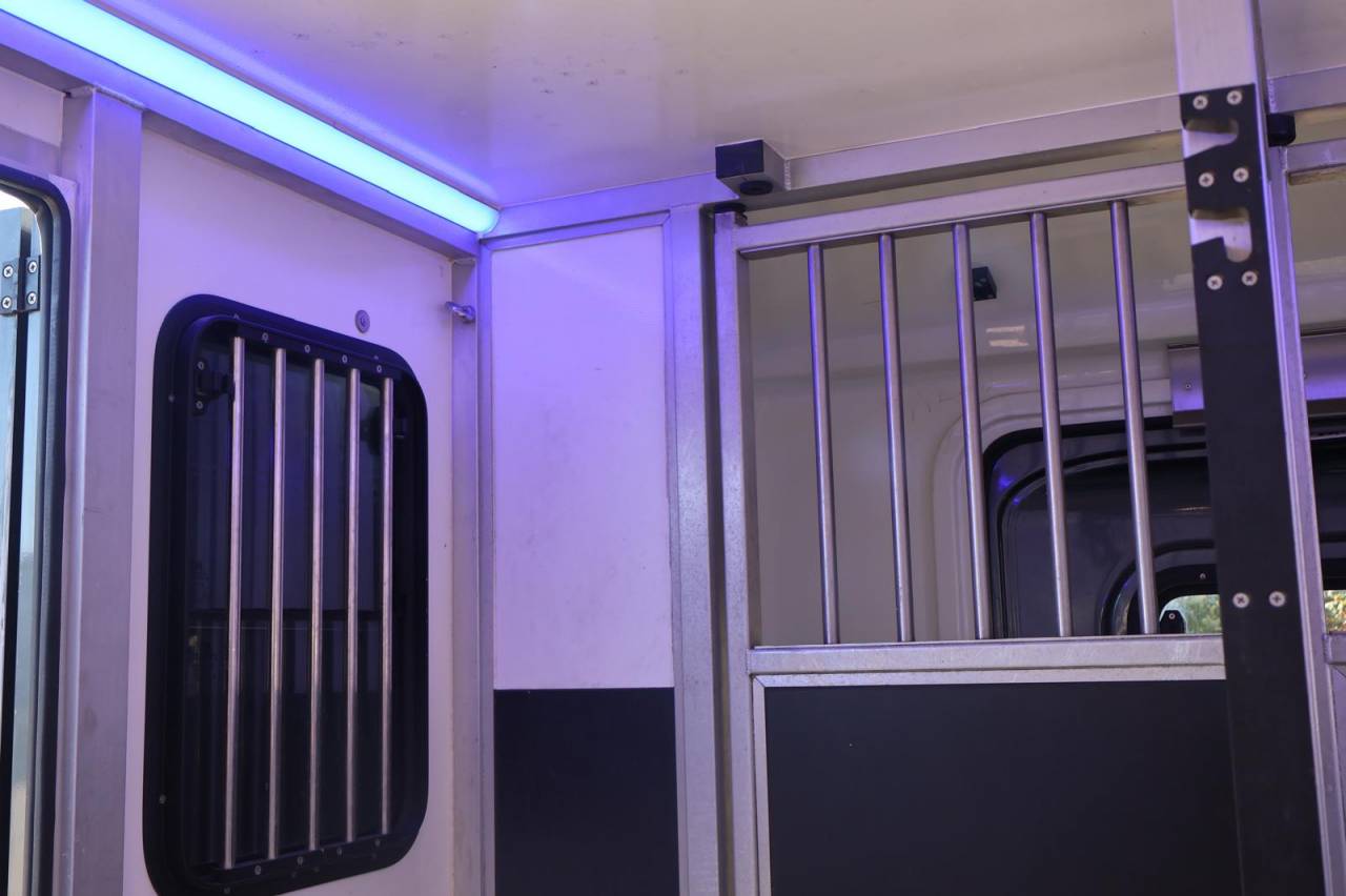 Horsebox HGV Krismar KRISMAR 2021 Used
