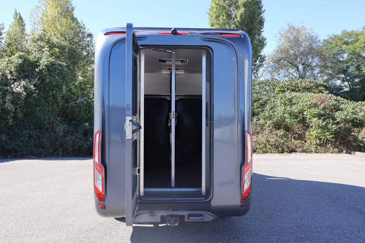 Horsebox HGV Krismar KRISMAR 2021 Used