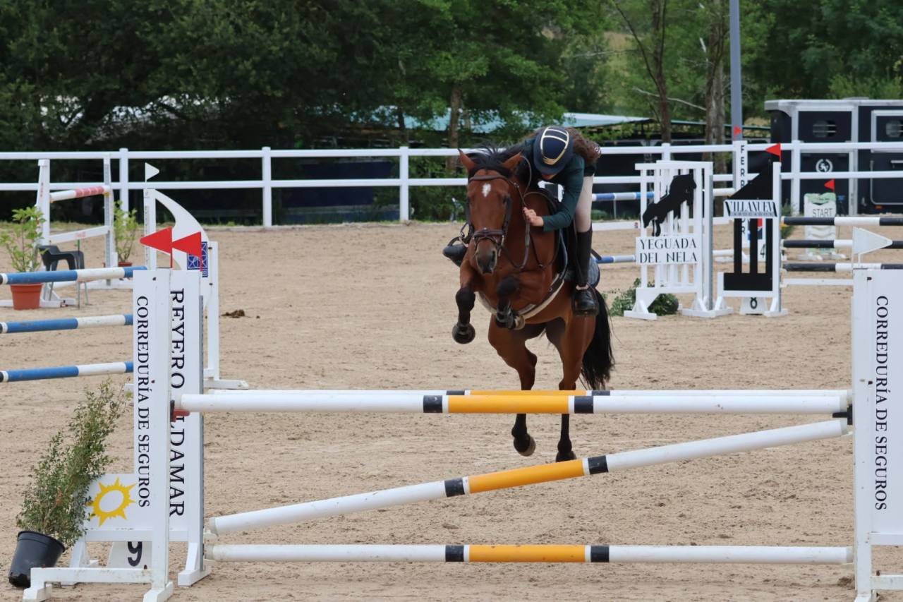 Mare Other Pony Breed For sale 2020 Other color