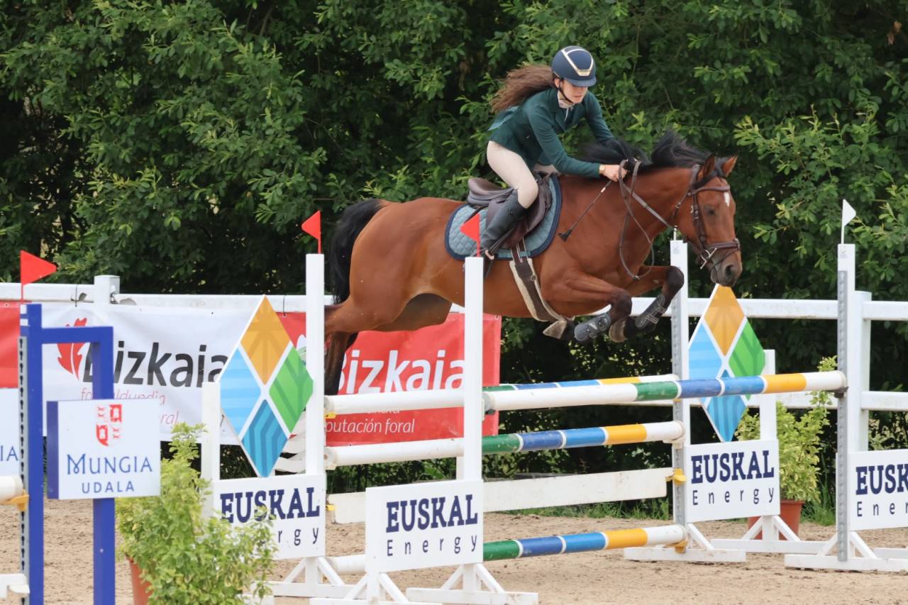 Mare Other Pony Breed For sale 2020 Other color