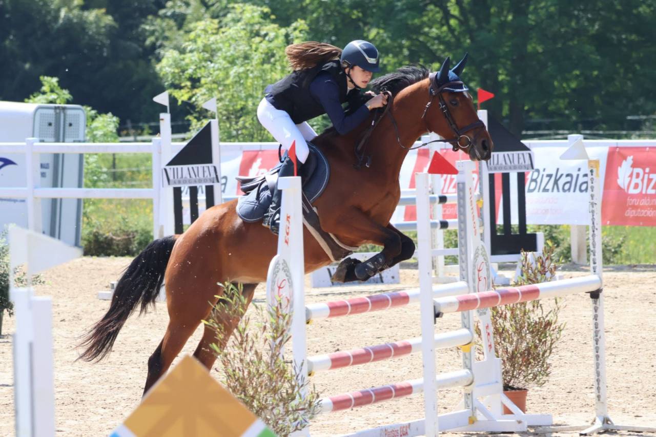 Mare Other Pony Breed For sale 2020 Other color