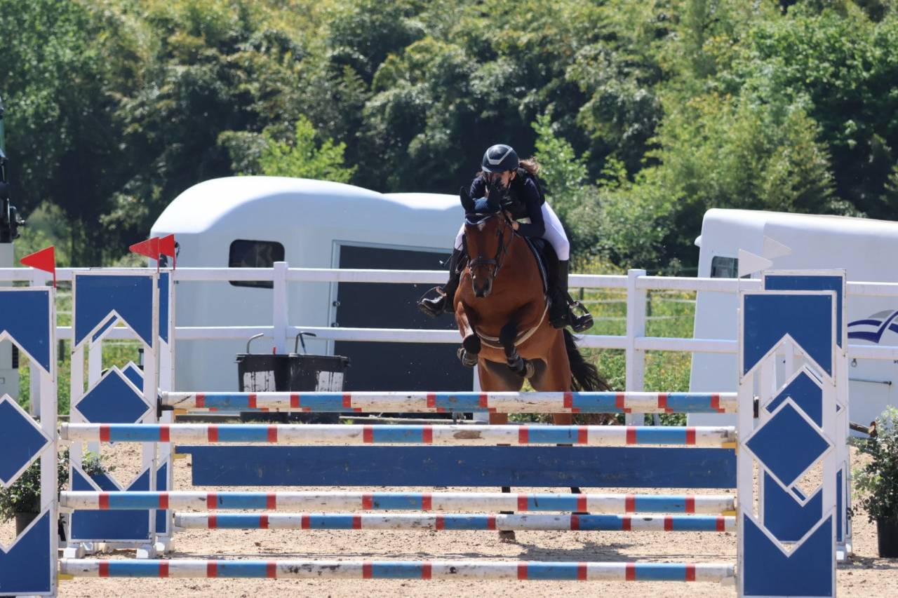 Mare Other Pony Breed For sale 2020 Other color