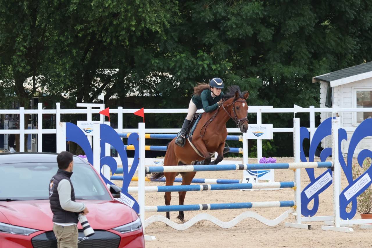 Mare Other Pony Breed For sale 2020 Other color