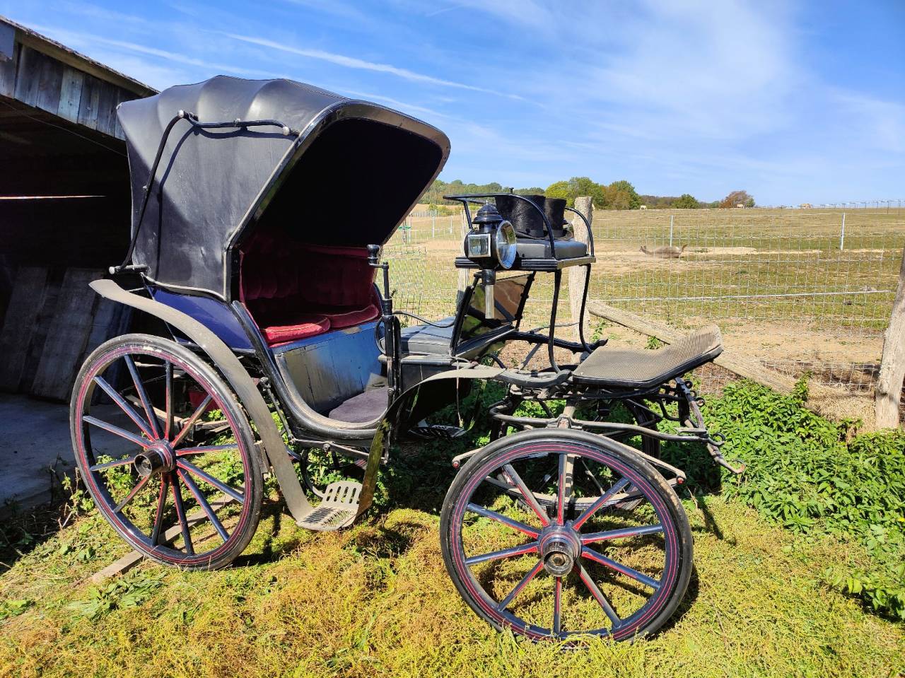 Carriage - Cal&egrave;che Dominiak  