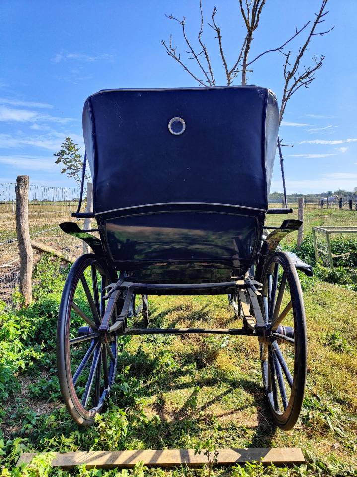 Carriage - Cal&egrave;che Dominiak  