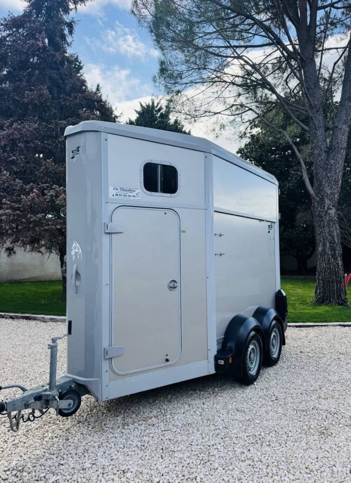 Horse trailer Ifor Williams HB403 1,5 Stalls 2015 Used