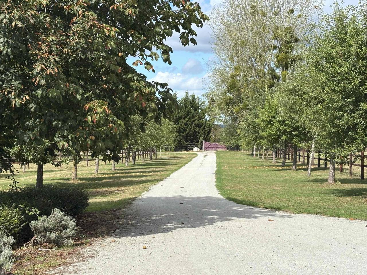 Stud farm  Calvados
