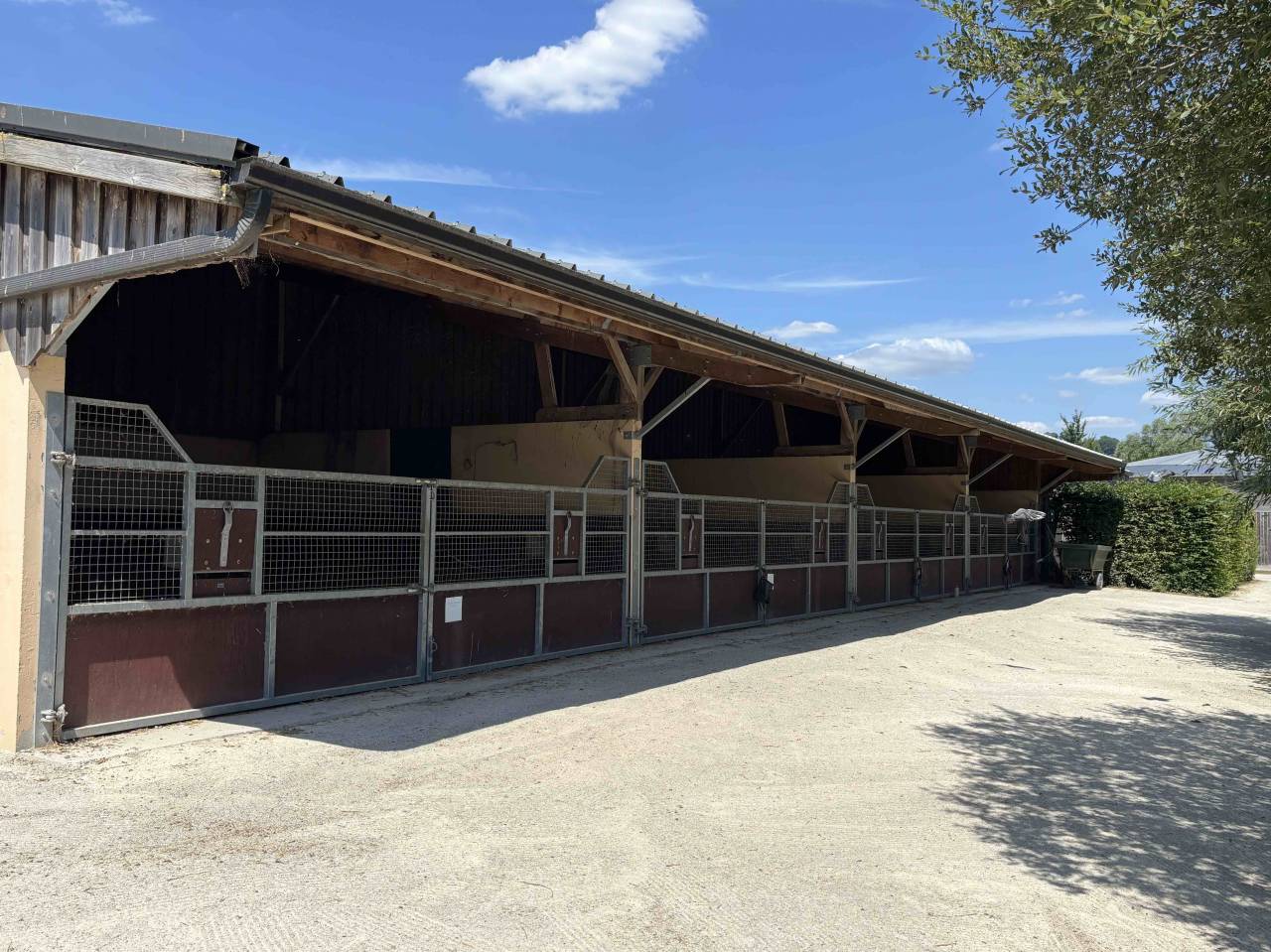 Stud farm  Calvados