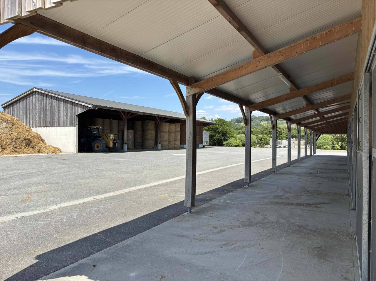 Stud farm  Calvados