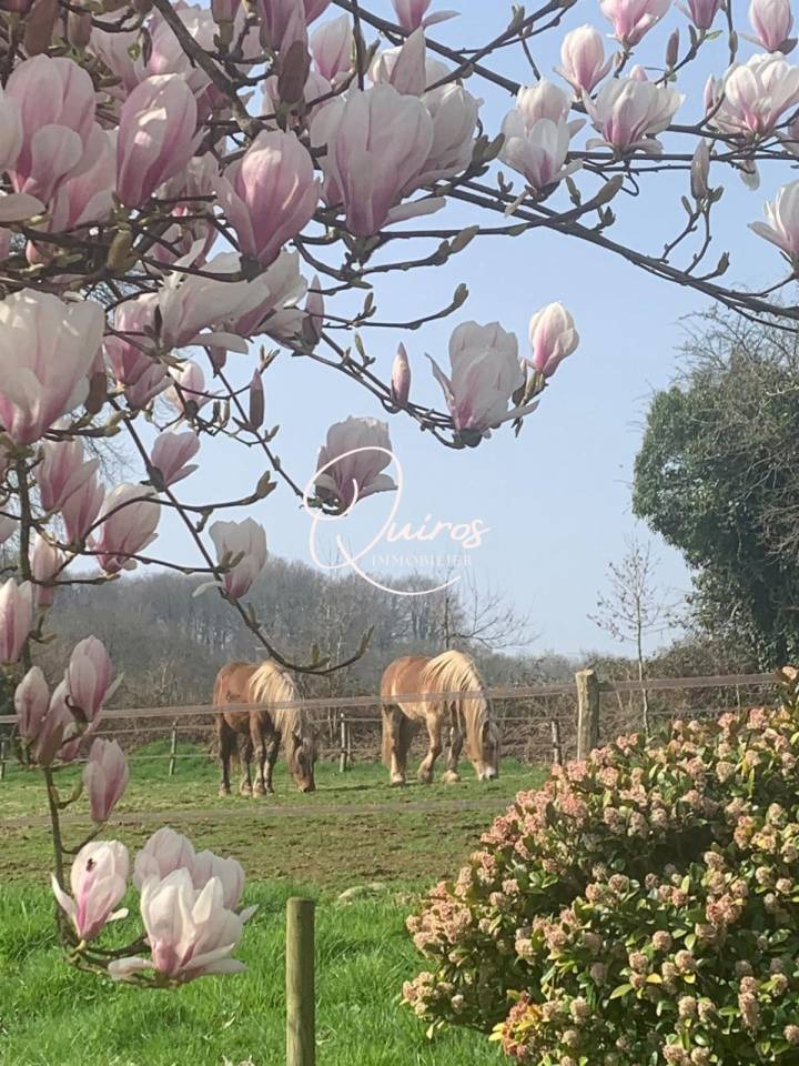 Equestrian property  Manche