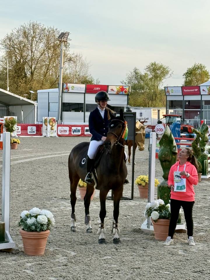 Mare Origin Recorded For sale 2017 Bay