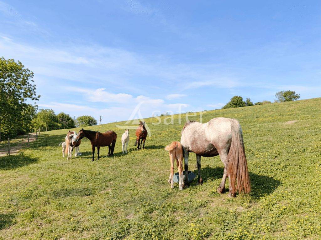 Other country property  tarn