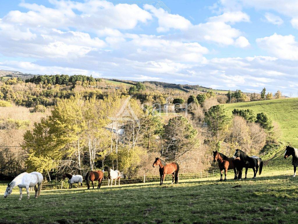Other country property  tarn