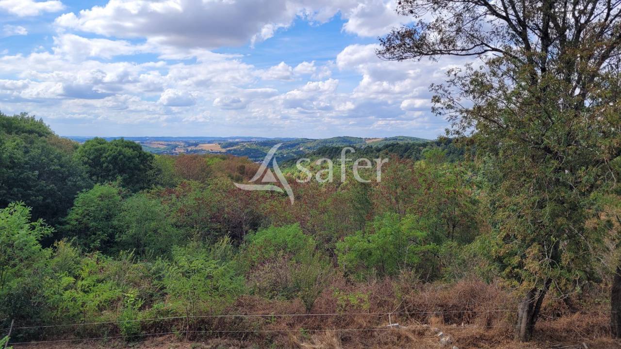 Other country property  tarn