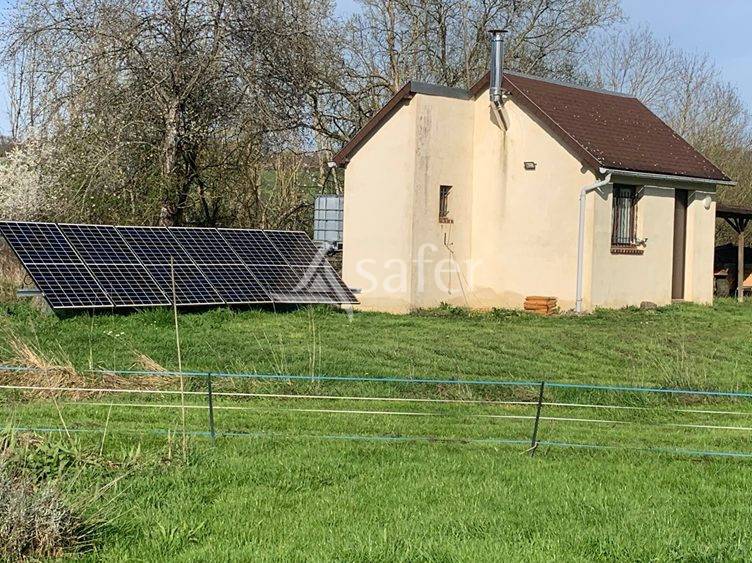 Vegetable farm  Eure-et-Loir
